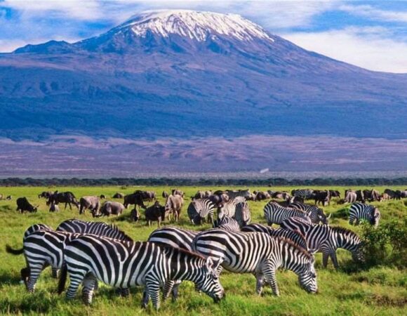6 Days Amboseli, Lake Naivasha and Masai Mara Safari <Br><p style="color: #eb882f;"> From USD 913</p>