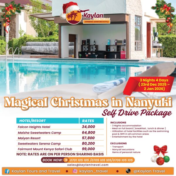 Magical Christmas in Nanyuki